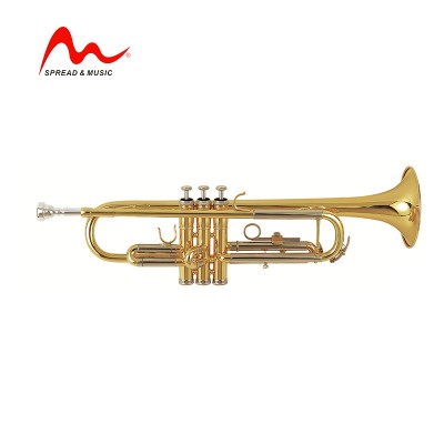 B-flat key brass wind instruments gold lacquer wind Instrument TR-1